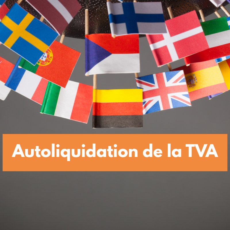 hd-consulting-autoliquidation-tva-belgique