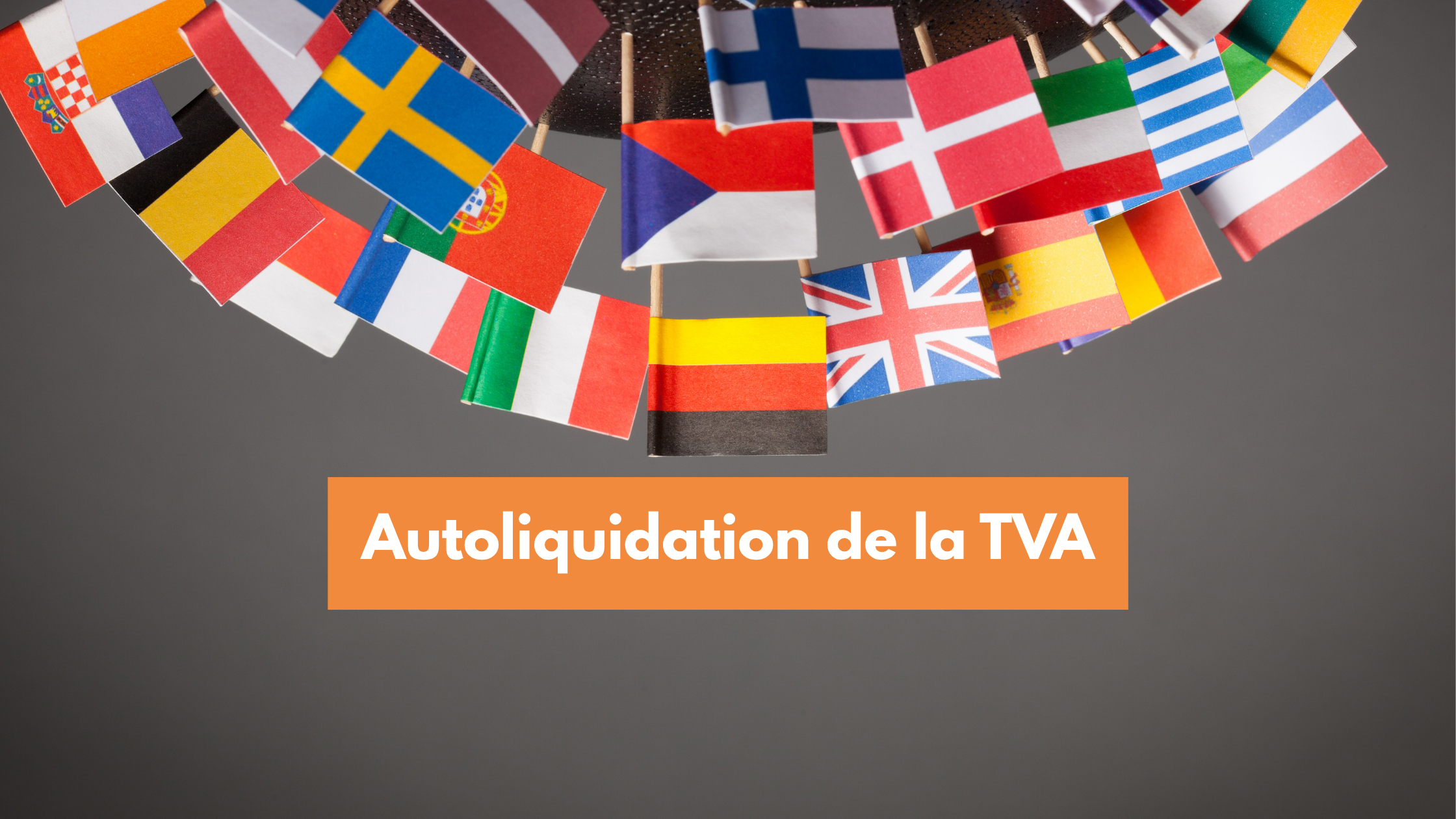 hd-consulting-autoliquidation-tva-belgique