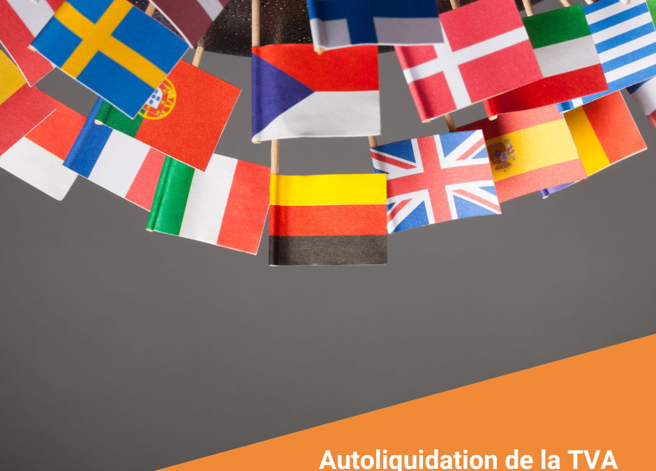 drapeaux du monde avec mention autoliquidation de la TVA en Belgique.